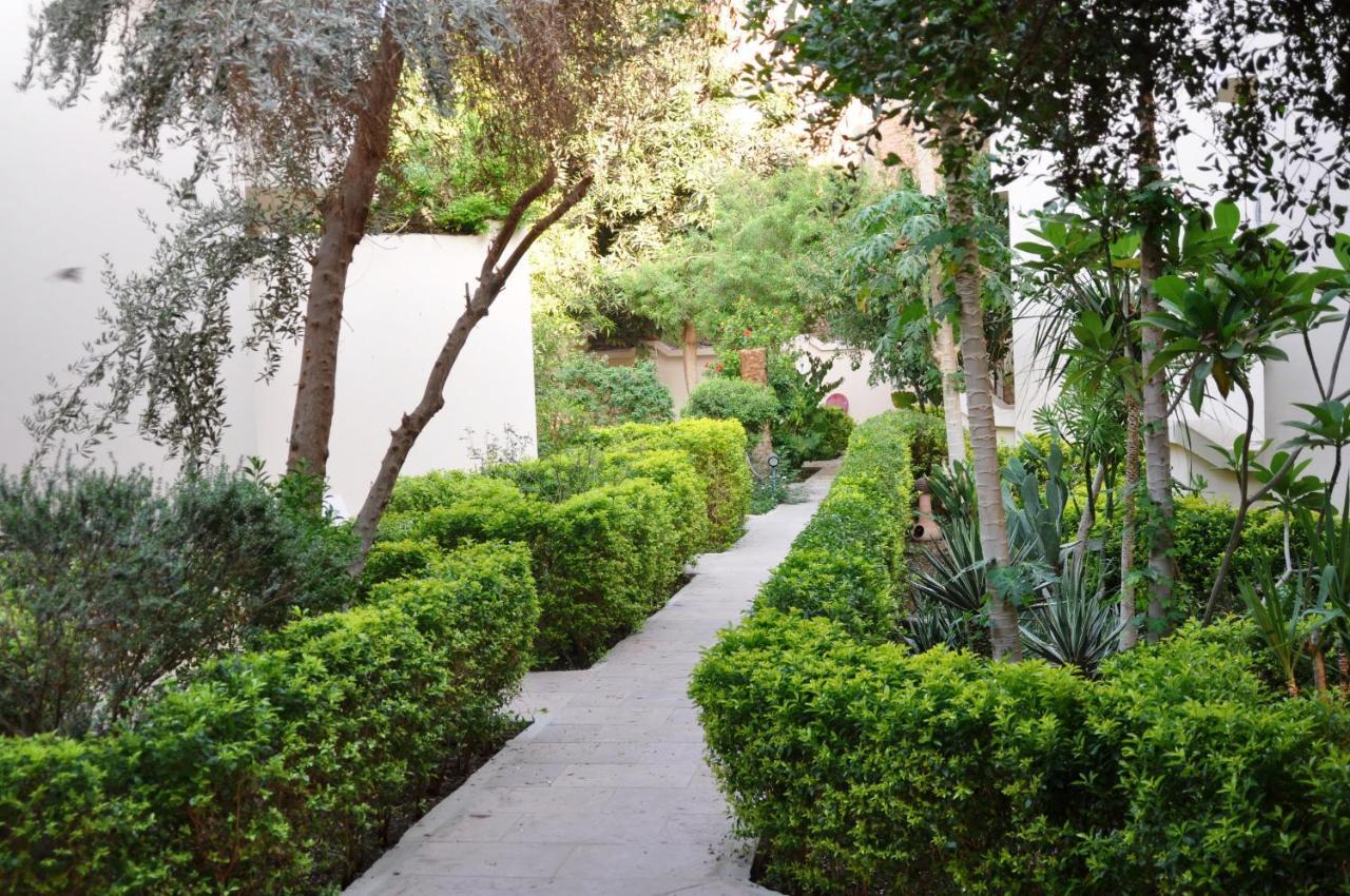 El Nakhil Hotel Λούξορ Εξωτερικό φωτογραφία